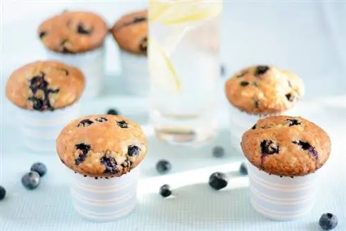 Пятничное печенье: черничный творожный маффин