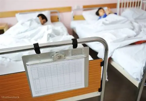 жалюзи 61301884