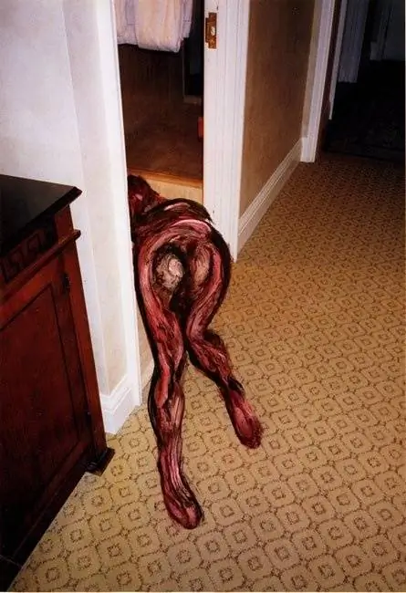 Модели Терри Ричардсона ужасны, когда их раскрашивают