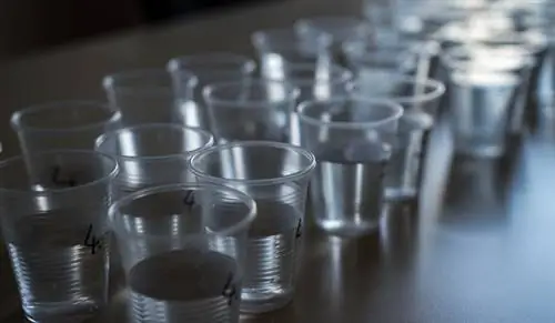 Тест минеральной воды: венгр прежде всего