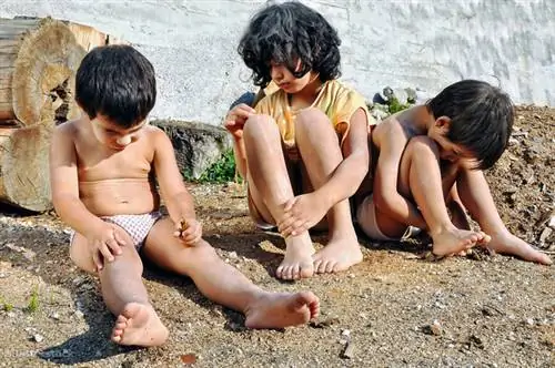 Загружаем щебень? Из чего будет состоять моя долевая пенсия?