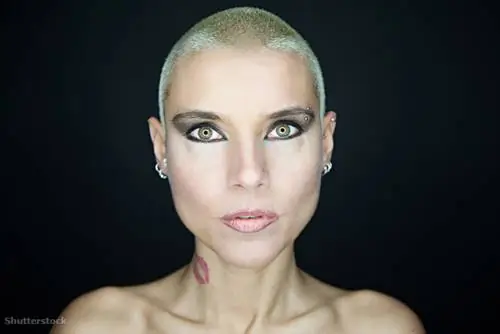 жалюзи 135626204