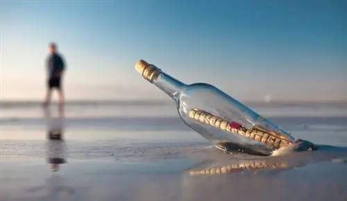 Миллион желаний сбывается на Брайтон Прайд