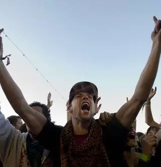 Sziget и Auchan нашли друг друга