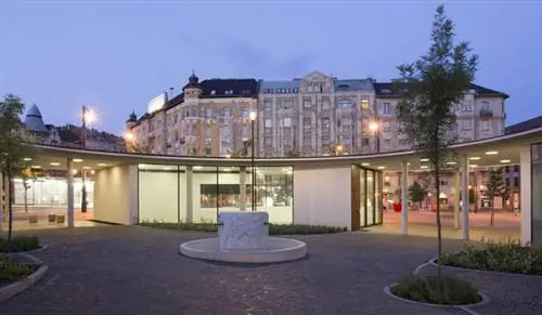 Móricz Zsigmond körtér Гриб стал блестящим