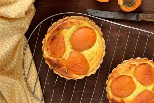 Персиковый творог2