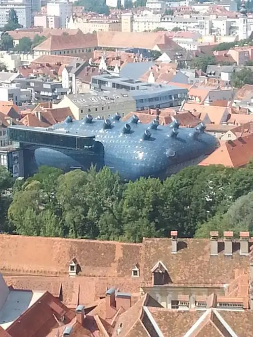 Милая лягушка посреди старого города