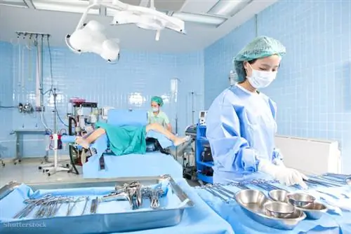 затвор 84943864