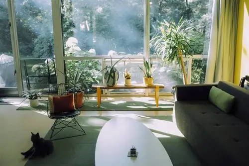 Изображение: www.thefloydleg.com