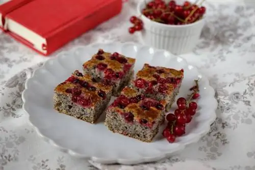 Мак-смородина1