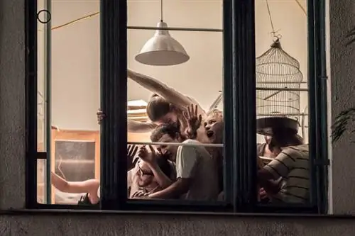 скрывающийся EA 01 WEB 010