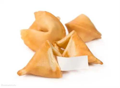 затвор 156848543