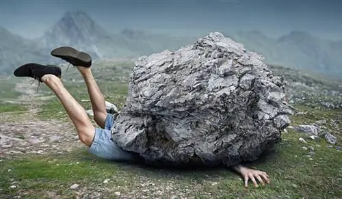 Ты заболел? Он точно этого заслуживает