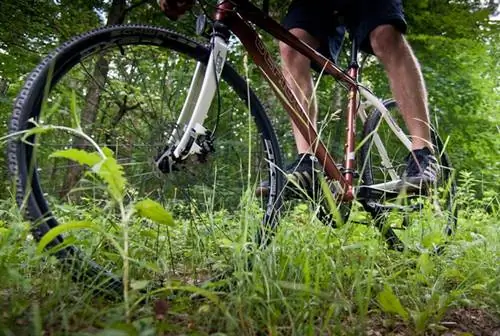 Фото: Ивор Шанишль