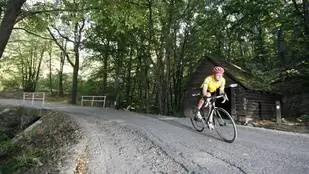 Рекомендация по туру: велосипедная прогулка на полдня в Пилис по асфальту