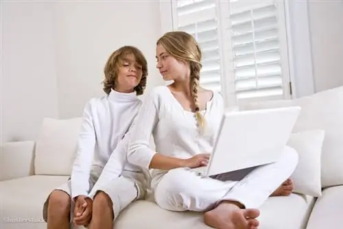 жалюзи 37530340