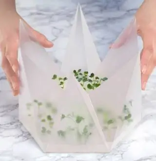 Вот как мы будем упаковывать еду в будущем