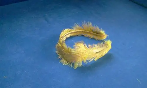 покройте ленту для волос, постепенно поднимаясь с обеих сторон