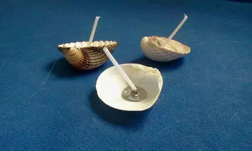 Каждой ракушке следует дать фитиль