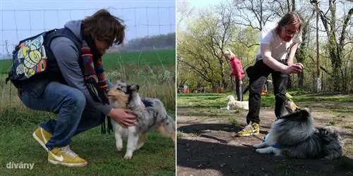 Громит в детском саду, потом в школе с Бенсом