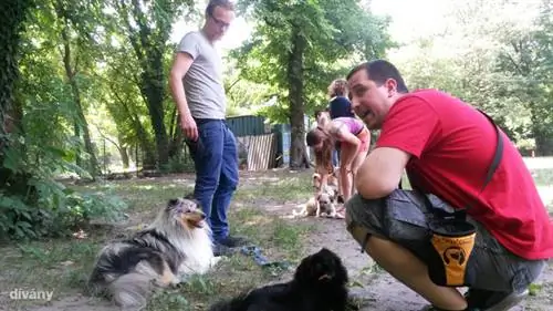 Теперь мы благодарим