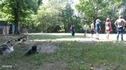 Даже если мы не будем обращать внимания, мы останемся