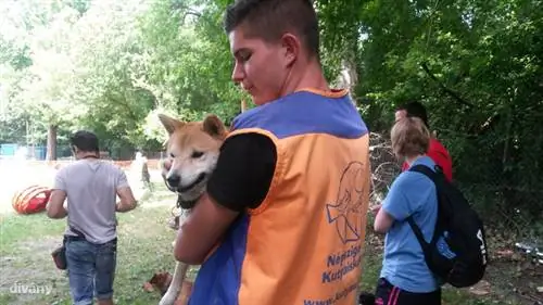 Сзато и Саби, один из помощников