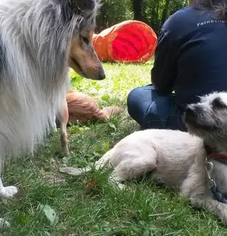 Оставь мочиться на лицо кому-то другому