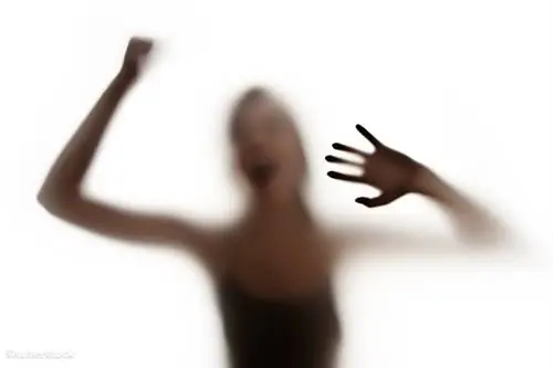114868591 114868591