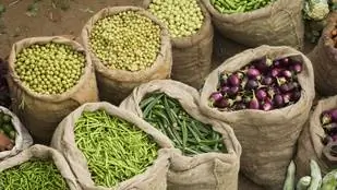 Городское выращивание овощей с нуля, в прямом эфире