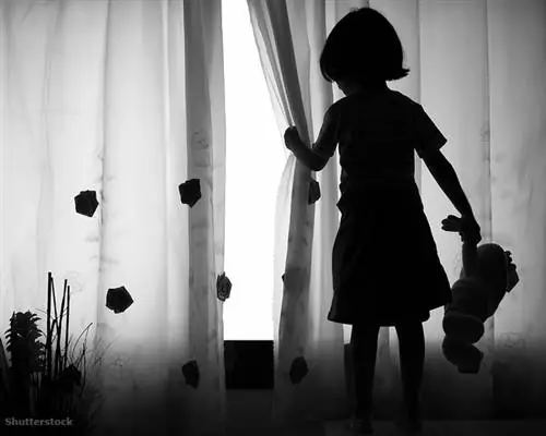 жалюзи 166235003