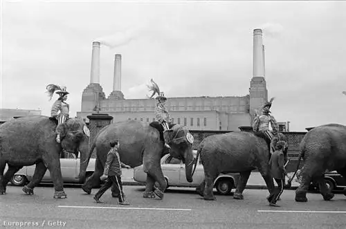 В последние годы это было одно из излюбленных мест для съемок фильмов и цирковых артистов