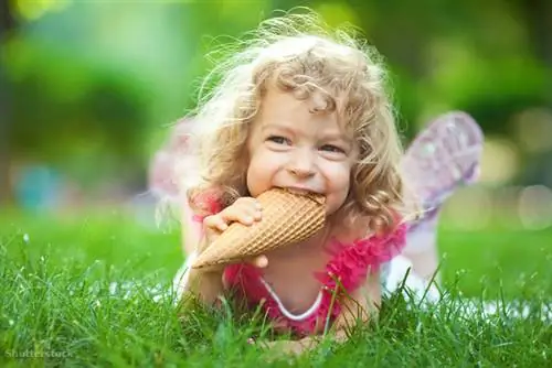 жалюзи 80487970