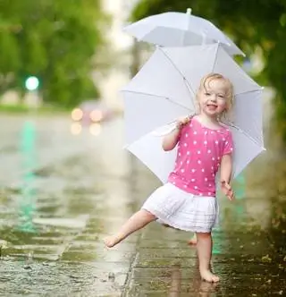 Если бы щенки правили миром