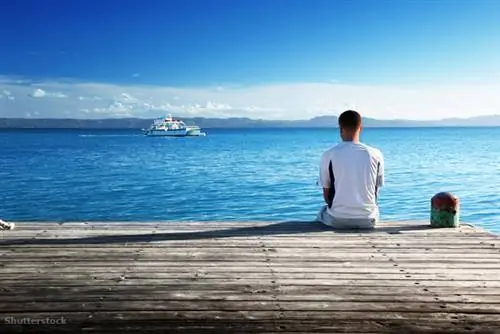 жалюзи 150380876