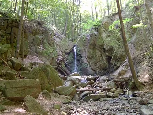 marzipan74 илона волги водянистый