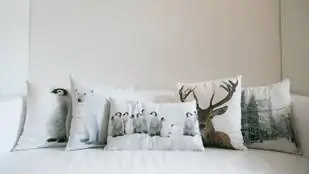 Магазины фаст-фэшн представляют себе осень с подушками в виде животных