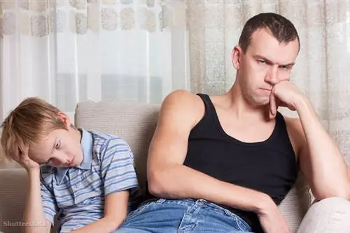 жалюзи 62768395