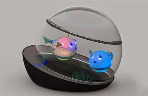 Вот аквариум будущего!