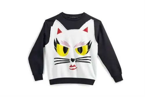 Ужасающий взгляд Шупетт на свитере. Мы это любим