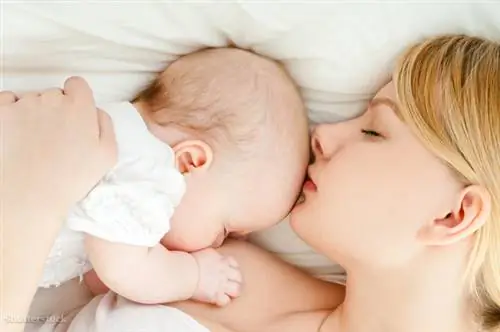 затвор 133589516