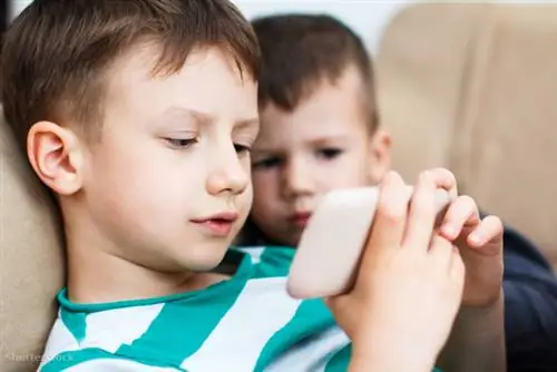 жалюзи 141204469