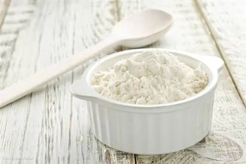 затвор 137808746