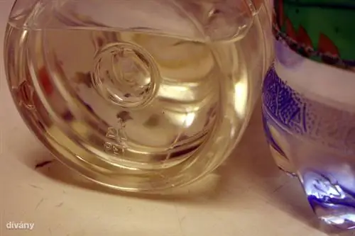 домашний питомец