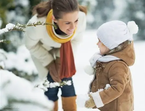 Затвор 149486240