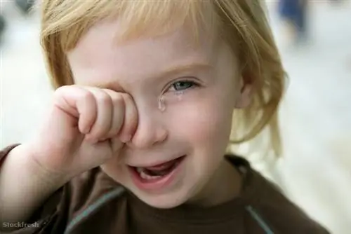 Stockfresh 318363 очаровательная блондинка маленькая девочка плачет портрет размер