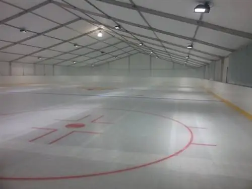 Гепард-Каток-1024x768