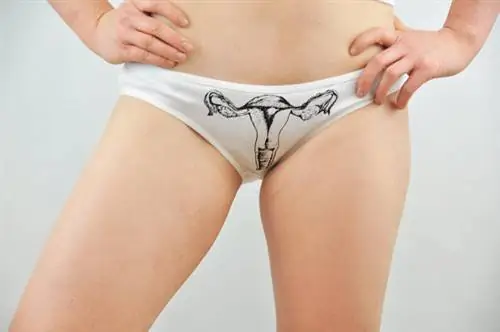 Трусики с яичниками 2159 форинтов