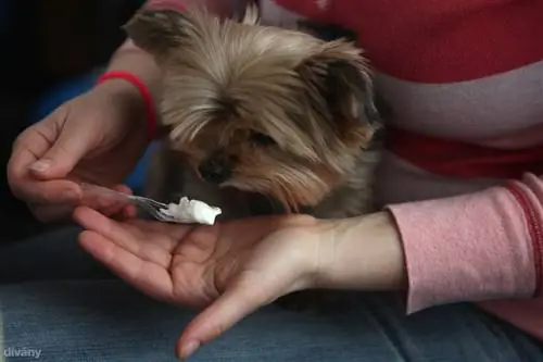 Tejpöltest: что угодно, кроме Cserpest