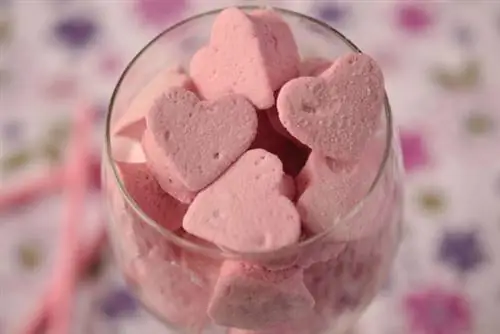 Сахар в таблетках8